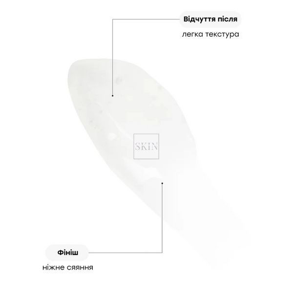 Освітлюючий крем-гель для обличчя з ніацинамідом Transparent Lab Niacinamide Glow Cream 50 ml 000565 фото